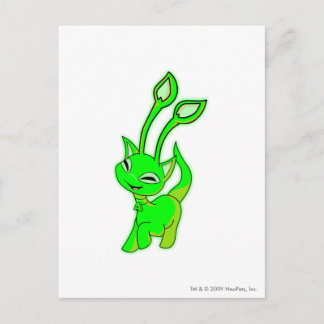 Postal Aisha Gslow