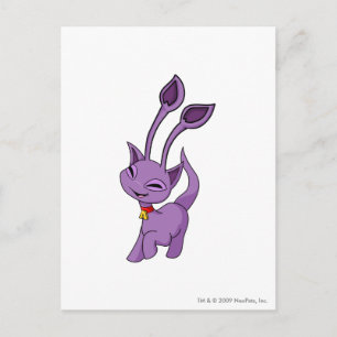 Postal Aisha Purple