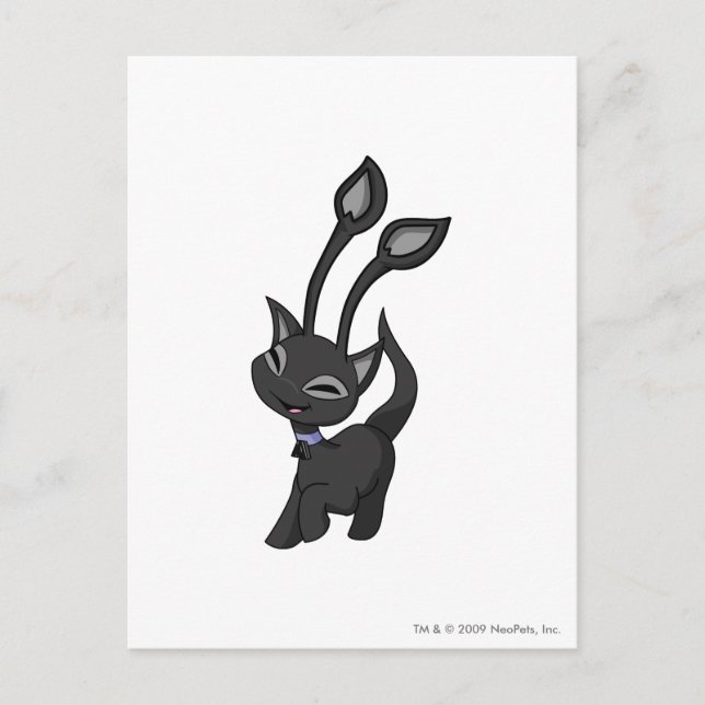 Postal Aisha Shadow (Anverso)