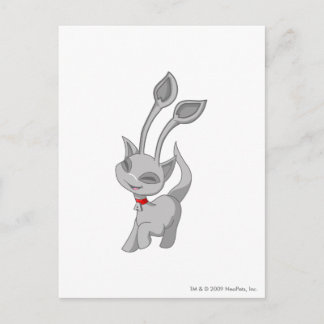 Postal Aisha Silver