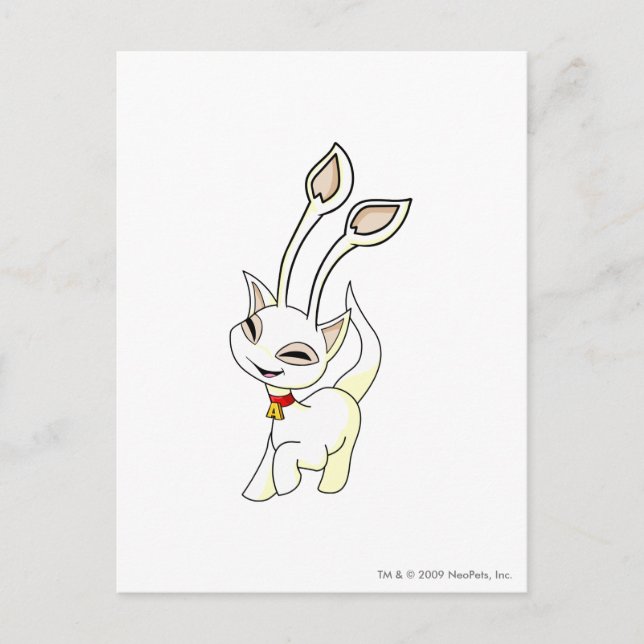 Postal Aisha White (Anverso)