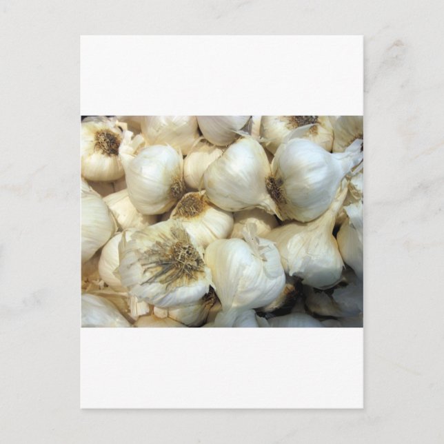 Postal Ajo sano (Anverso)