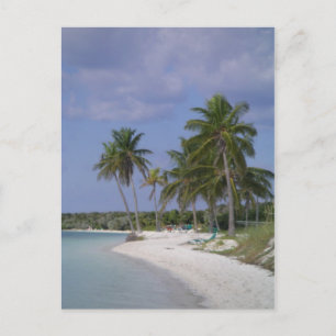 Postal Ajustes tropicales