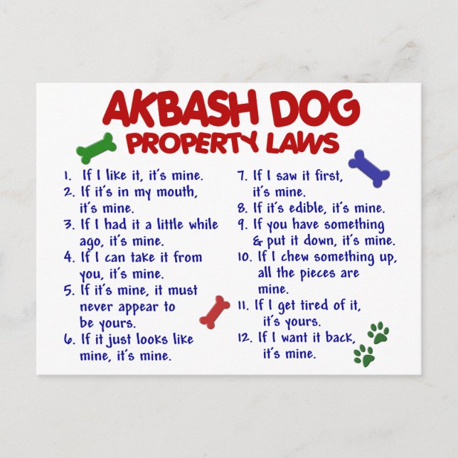 Postal AKBASH DOG Property Laws 2 (Anverso)