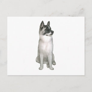 Postal Akita (A) - (máscara negra)