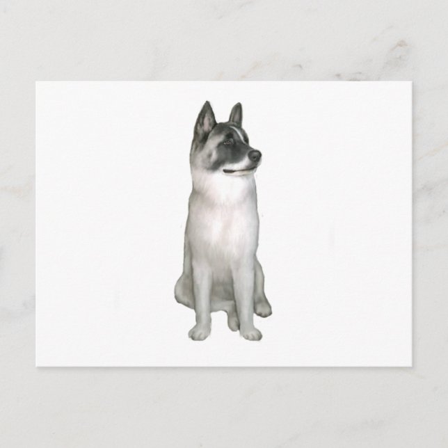 Postal Akita (A) - (máscara negra) (Anverso)