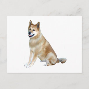 Postal Akita (Akita Inu) (169)