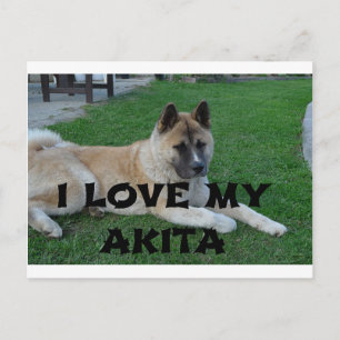 Postal akita cervato acostado amor con imagen