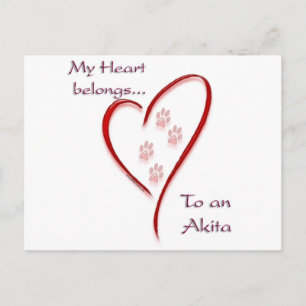 Postal Akita Heart Pertenece