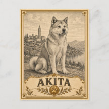 Akita, perro vintage de herencia