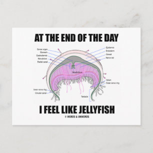 Postal Al Final Del Día Me Siento Como Las Jellyfish