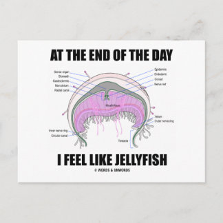 Postal Al Final Del Día Me Siento Como Las Jellyfish