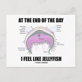 Postal Al Final Del Día Me Siento Como Las Jellyfish