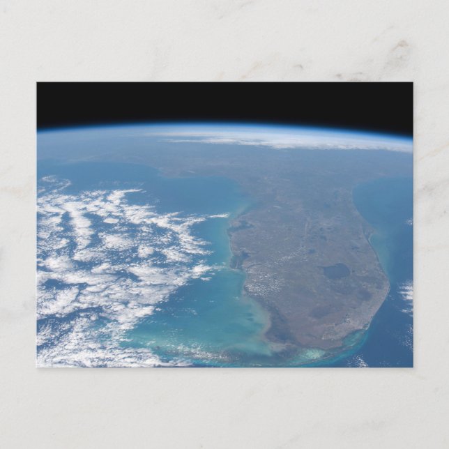 Postal Al Norte De La Península De Florida. (Anverso)