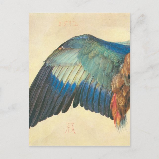 Postal Ala de un Roller Azul de Albrecht Durer (Anverso)