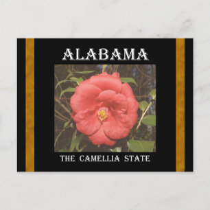 Postal Alabama Camellia (Rojo)