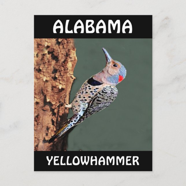 Postal Alabama Yellowhammer (Anverso)