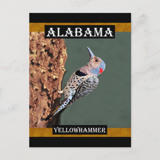 Postal Alabama Yellowhammer (Anverso)