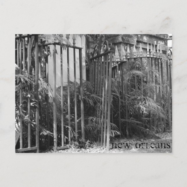 Postal Alambre Araña (Anverso)