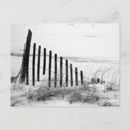 Postal Alambre de dunas en nieve
