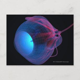 Postal Alambre de los músculos del ojo