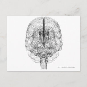 Postal Alambre del cerebro
