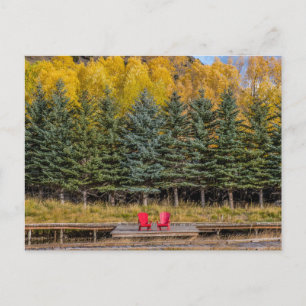 Postal Alamos de Otoño
