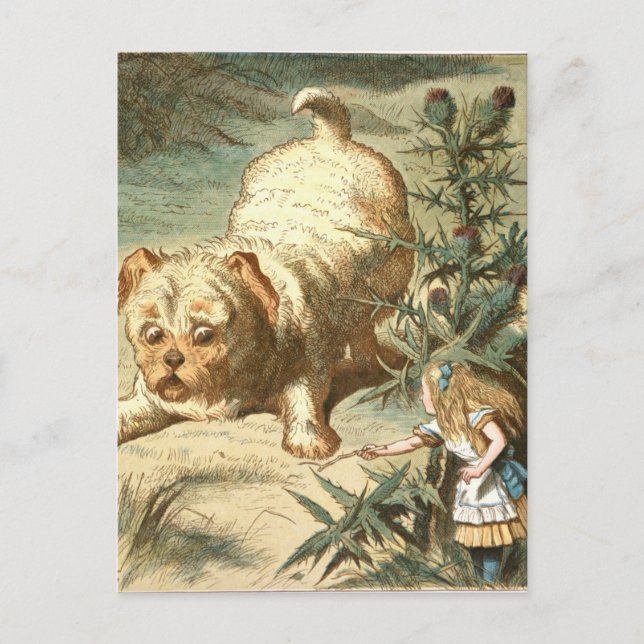 Postal Alarma (Anverso)