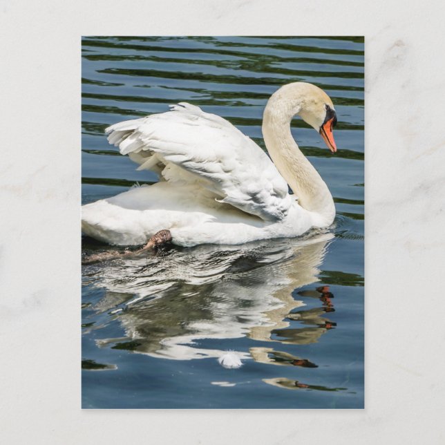 Postal Alas (Anverso)