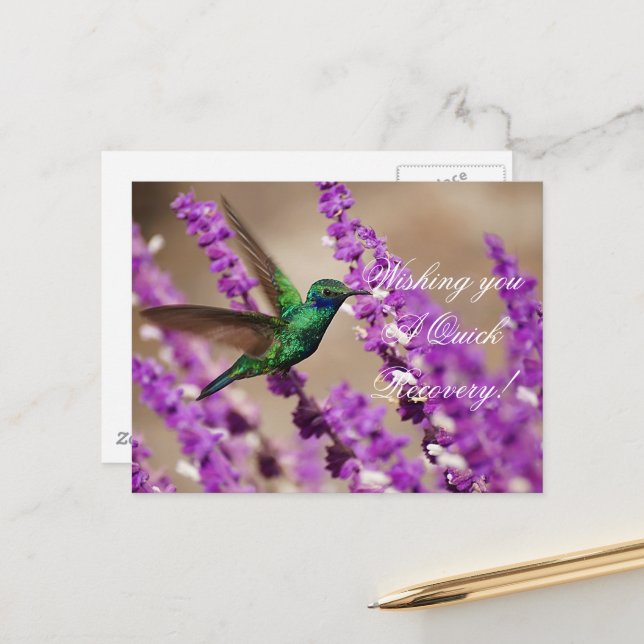 Postal Alas de Faith Sparkling Violet ears Hummingbird (Anverso/Reverso In Situ)