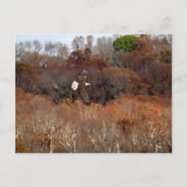 Postal Alas de otoño