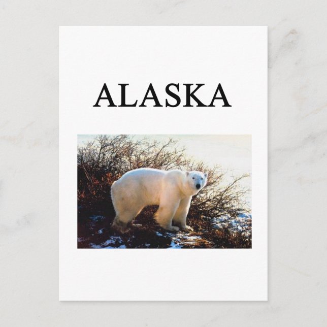 Postal alaska (Anverso)