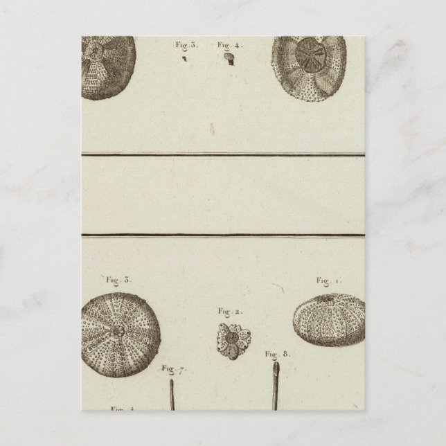 Postal Alaska (Anverso)