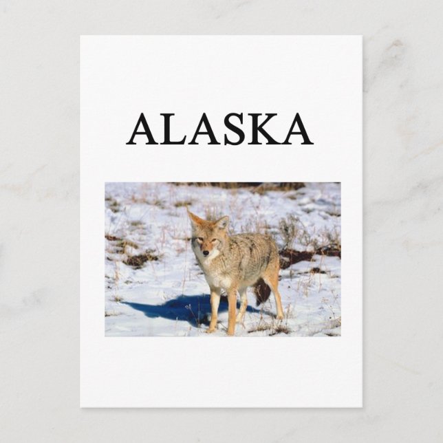Postal alaska (Anverso)