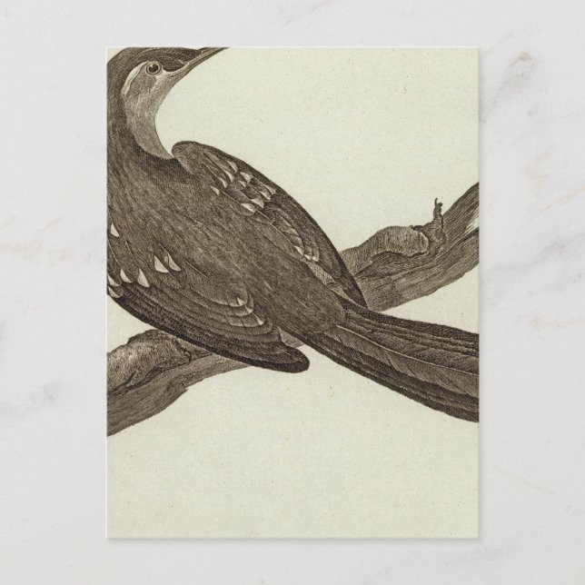 Postal Alaska 2 (Anverso)