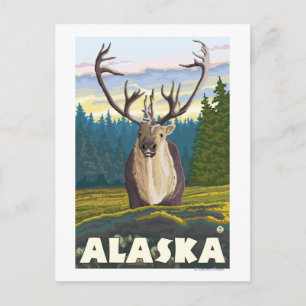 Postal Alaska Caribou en el viaje de la vida salvaje