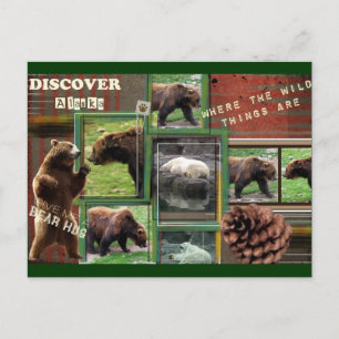 Postal Alaska-Donde Están Las Cosas Salvajes