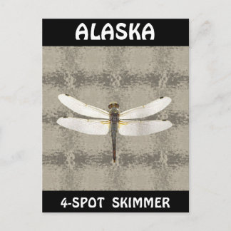 Postal Alaska Four Spot Skimmer Dragonfly