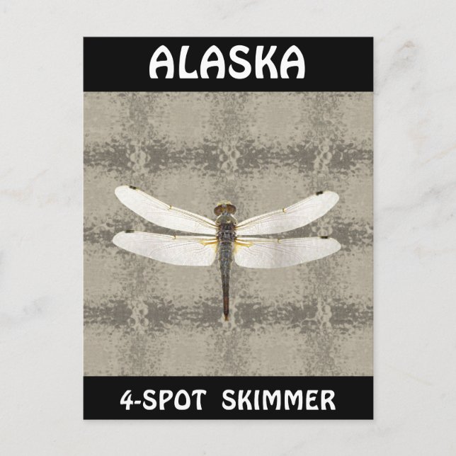 Postal Alaska Four Spot Skimmer Dragonfly (Anverso)