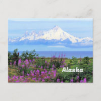 Alaska, glaciar Monte Iliamna y flores de hierba d