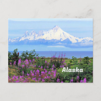 Postal Alaska, glaciar Monte Iliamna y flores de hierba d