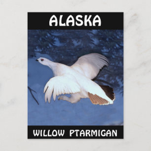 Postal Alaska Willow Ptarmigan