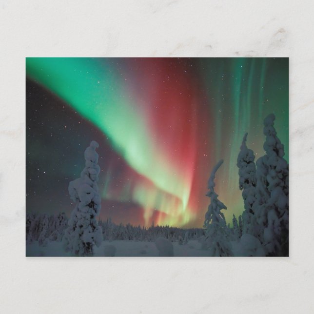 Postal Alaskan Aurora Borealis (Anverso)
