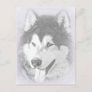 Postal Alaskan Malamute