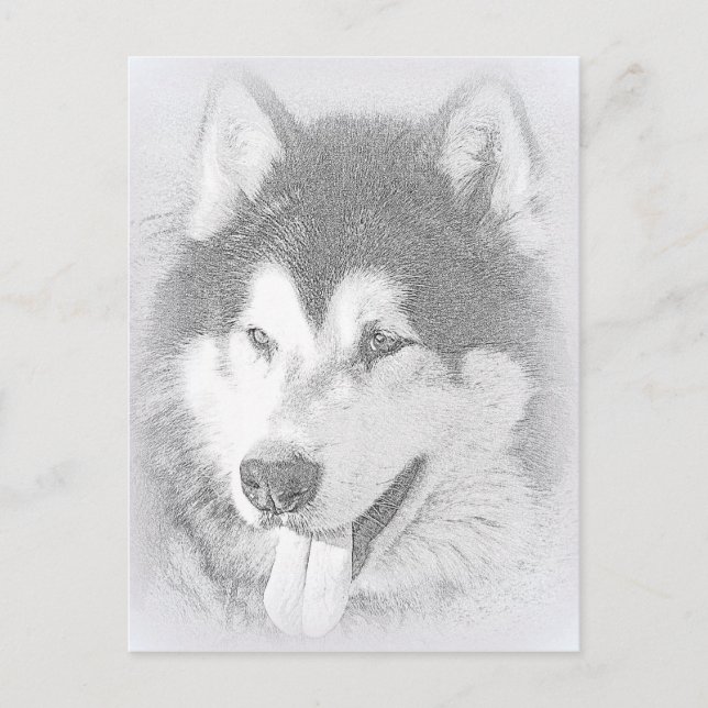 Postal Alaskan Malamute (Anverso)