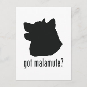 Postal Alaskan Malamute