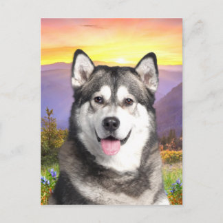 Postal Alaskan Malamute