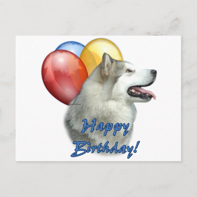 Postal Alaskan Malamute Feliz cumpleaños a los globos (Anverso)