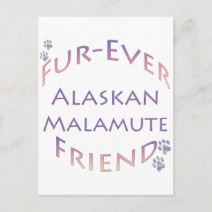 Postal Alaskan Malamute Furever