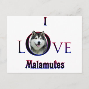 Postal Alaskan Malamute I Love